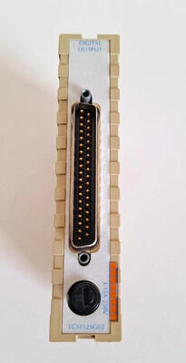 Westinghouse Ovation 1C31125G01 PLC Digital Input Module with 16-Channel 24VDC for Industrial Control Applications